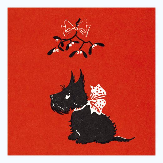 Christmas Animals Christmas card box (pack of 20, 4 designs)